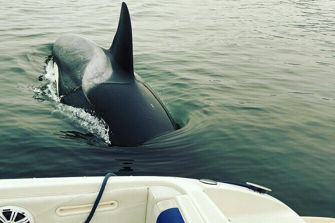 2 Hour Chartered Boat Tour from Deep Cove North Vancouver - What to bring and what to expect on the water