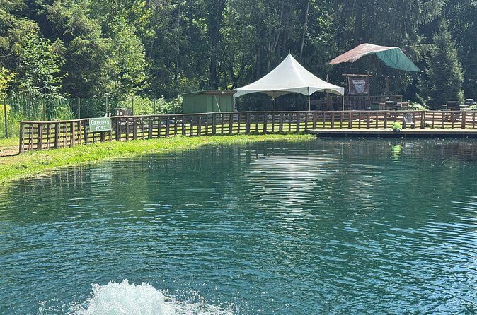 A Relaxing Day of Fishing and Fresh BBQ - BBQ your trout on-site: turning a catch into dinner