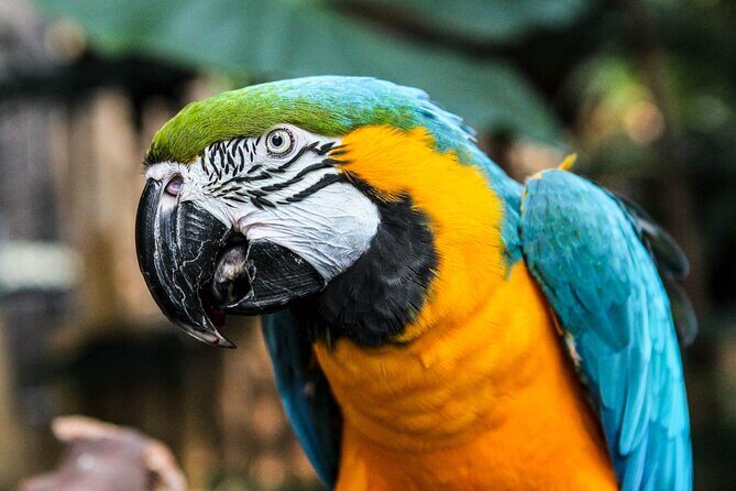 Bloedel Conservatory Admission Ticket - What you’re actually buying: one-time entry into a tropical-style walk