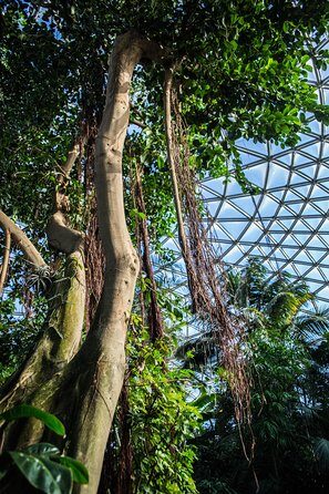 Bloedel Conservatory Admission Ticket - Getting there: near transit, but double-check how you arrive