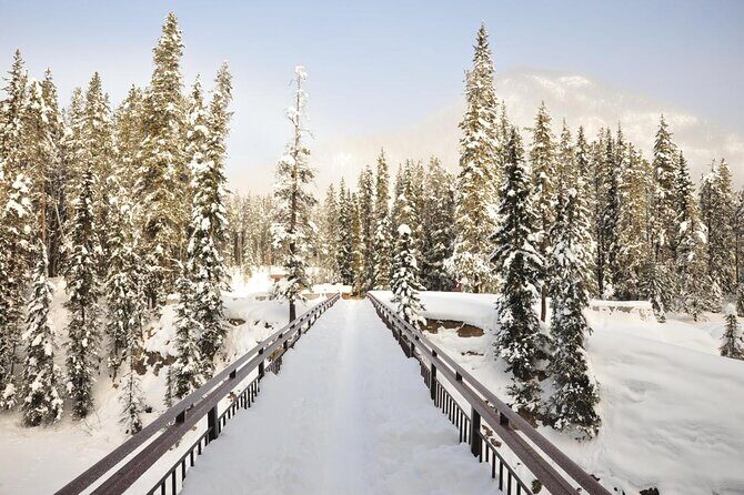 Canadian Rockies and Banff 4-Day Tour from Vancouver (Chn&Eng) - Key things to know before you go