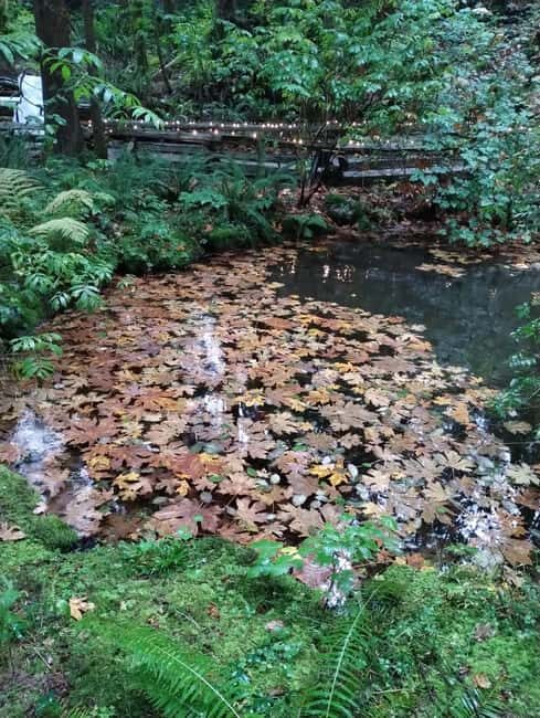 CAPILANO BR+GROUSE Mtn+STANLEY P+DAM+LAKE+HATCHERY/CAR/9in1 - Time, pace, and what the 270 minutes really feels like