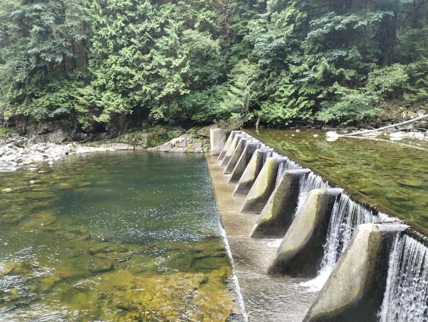 CAPILANO BR+GROUSE Mtn+STANLEY P+DAM+LAKE+HATCHERY/CAR/9in1 - Capilano Suspension Bridge and the treetop thrills