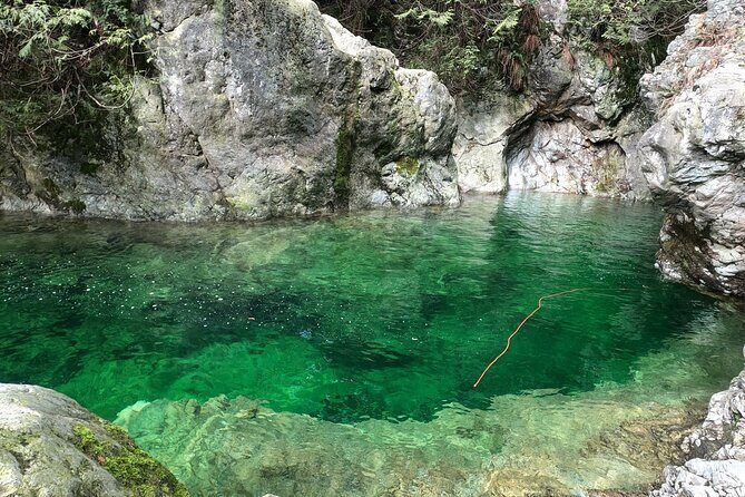 Capilano Suspension Bridge Canyon Lights & 4 Top highlights - Capilano Salmon Hatchery: short stop, big payoff for nature nerds