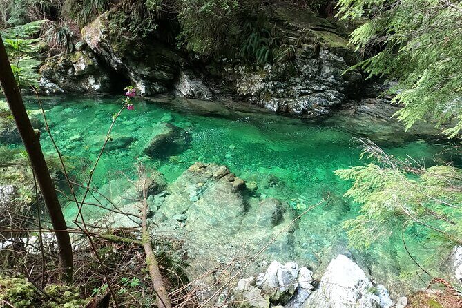 Capilano Suspension Bridge Canyon Lights & 4 Top highlights - Lynn Canyon Park: your calmer suspension-bridge warm-up