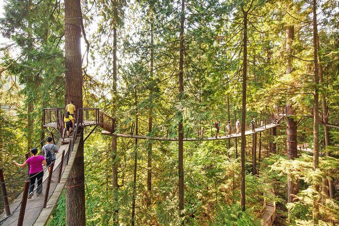 Capilano Suspension Bridge + Grouse Mountain Tour - Getting the most from your limited time at each stop