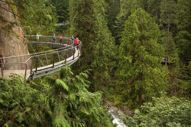 Capilano Suspension Bridge + Grouse Mountain Tour - Food and comfort: plan your energy like a local