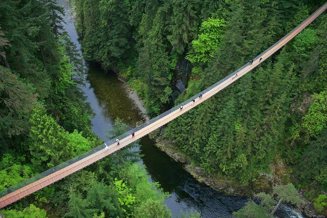 Capilano Suspension Bridge + Grouse Mountain Tour - Price and value: what you’re really paying for