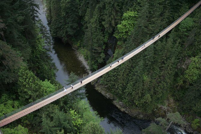 Capilano Suspension Bridge Park Ticket - Ticket value: what $61.51 buys you (and what it doesn’t)