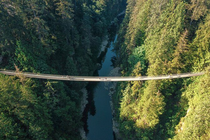 Capilano Suspension Bridge Park Ticket - Suspension Bridge: the iconic crossing over the Capilano River