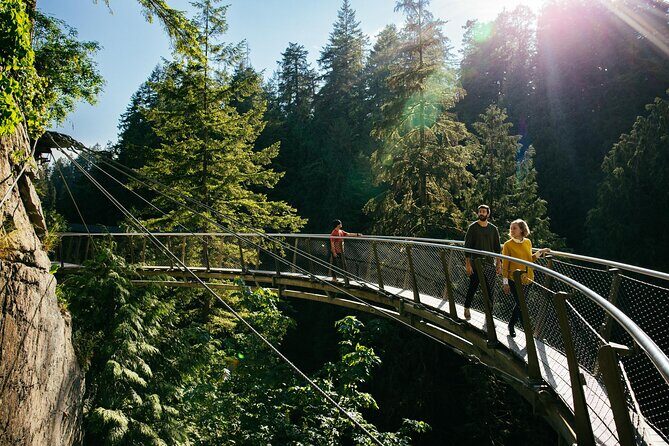 Capilano Suspension Bridge Park Ticket - Treetops Adventure: seven suspended bridges in the canopy