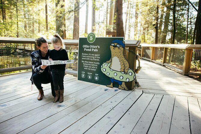 Capilano Suspension Bridge Park Ticket - Cliffwalk: canyon views that feel close to the edge