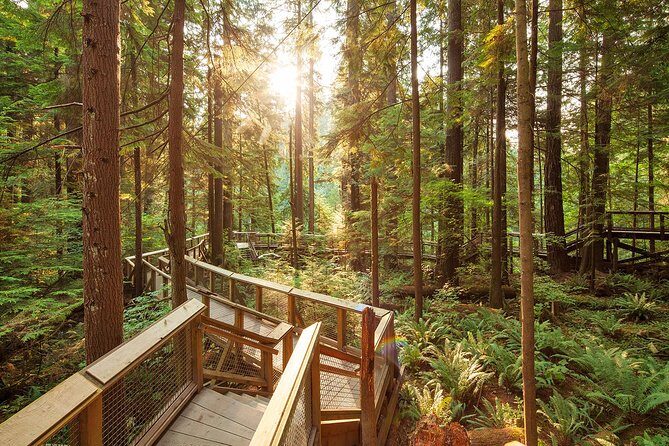 Capilano Suspension Bridge Park Ticket - Kia’palano and the Story Centre: culture and context before the thrills