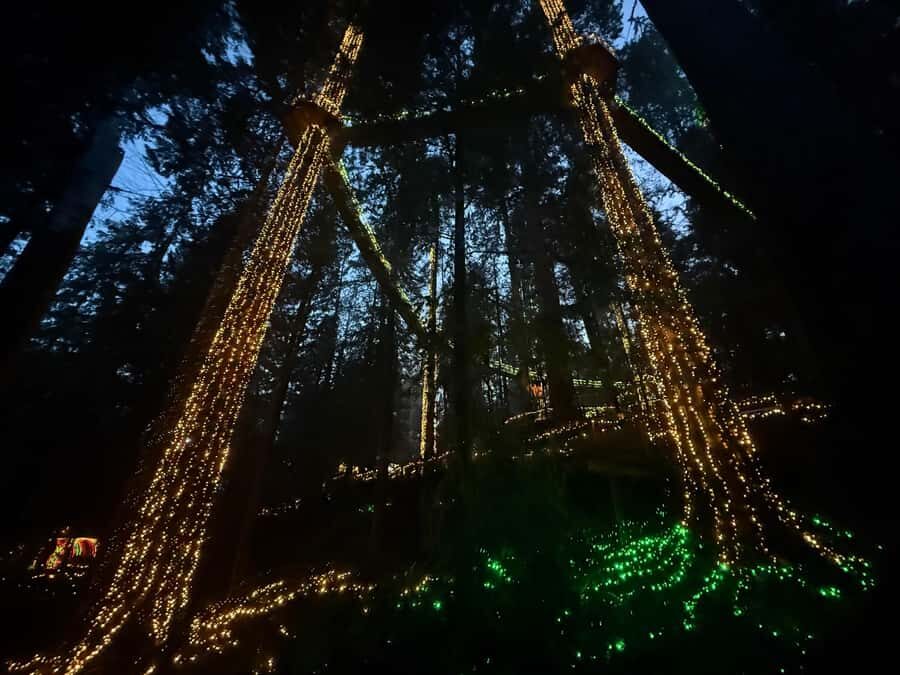 Capilano Suspension Bridge/Private/Small Group/By LUX CAR - A car-first Vancouver plan that saves your energy
