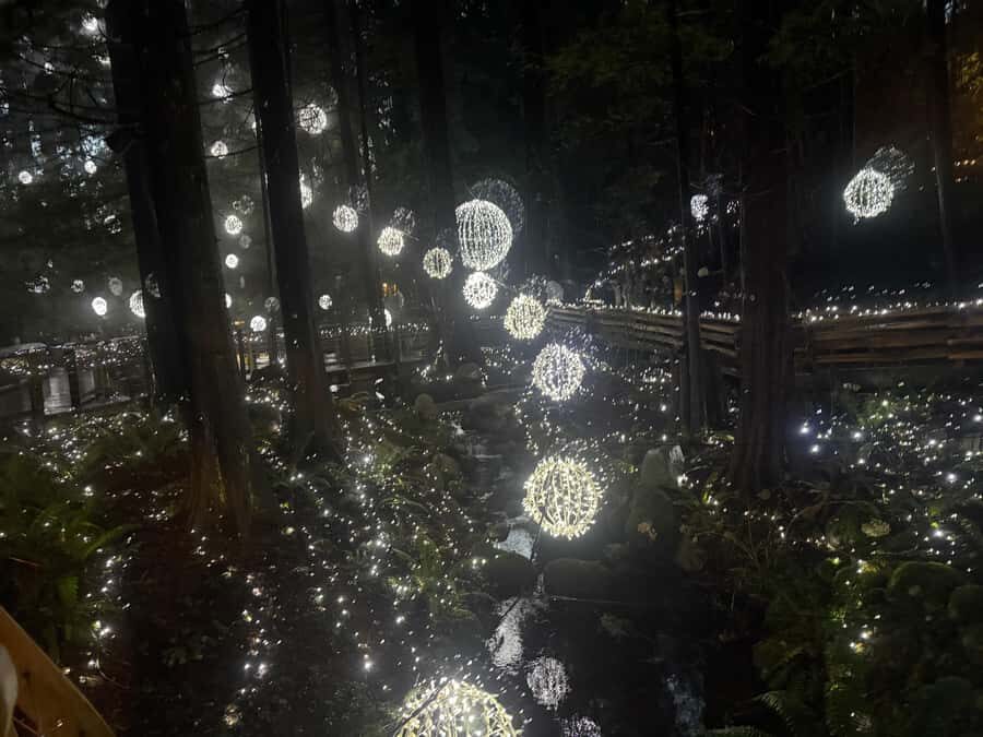 Capilano Suspension Bridge/Private/Small Group/By LUX CAR - Lions Gate Bridge: a quick icon with real scenery value