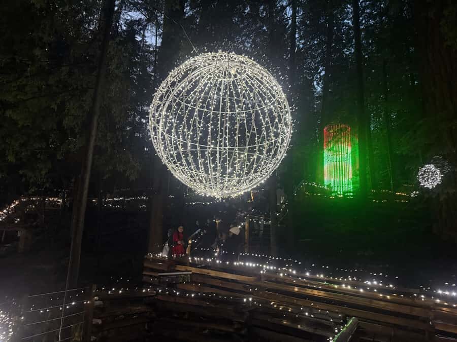 Capilano Suspension Bridge/Private/Small Group/By LUX CAR - Capilano Suspension Bridge: your first big wow moment