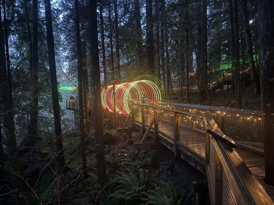 Capilano Suspension Bridge/Private/Small Group/By LUX CAR - Cliffwalk along the granite canyon: dramatic but manageable