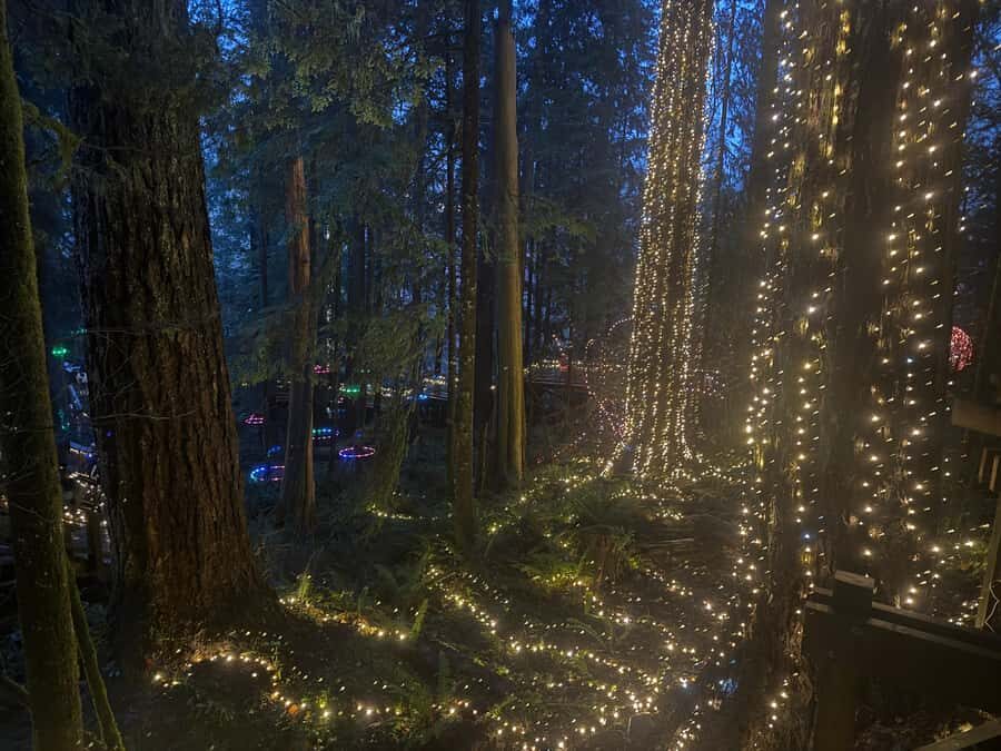 Capilano Suspension Bridge/Private/Small Group/By LUX CAR - Treetops Adventure: seven bridges for a canopy-level perspective