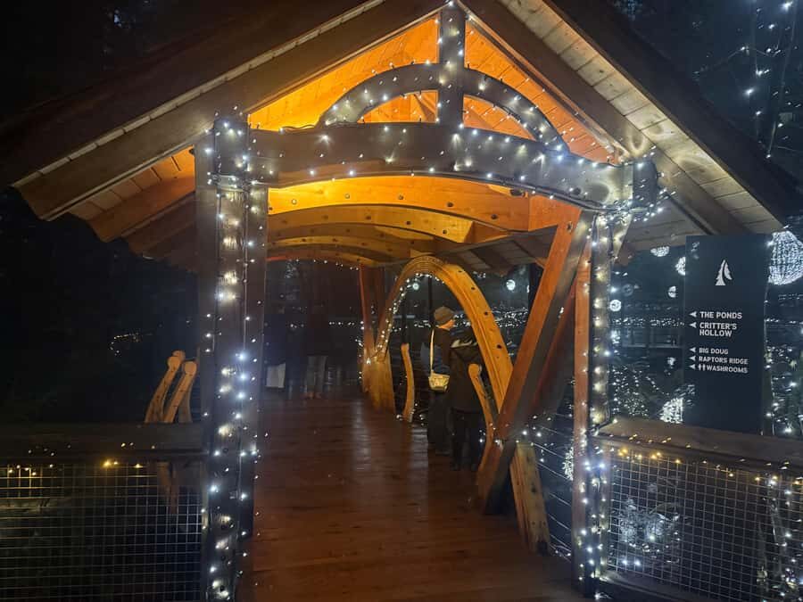 Capilano Suspension Bridge/Private/Small Group/By LUX CAR - Kia’palano and the Story Centre: culture without feeling like a detour