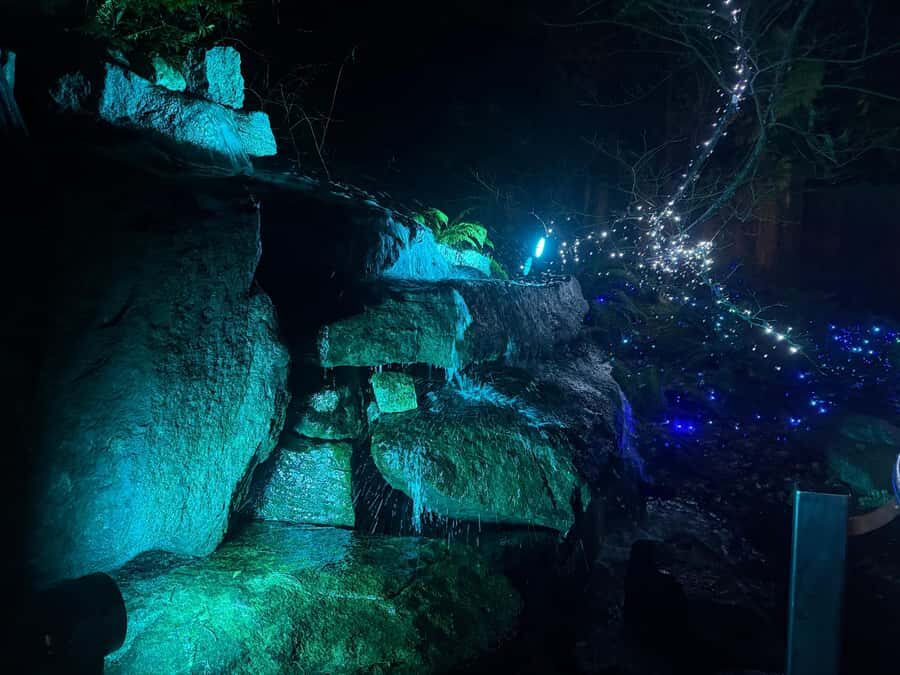 Capilano Suspension Bridge/Private/Small Group/By LUX CAR - Trading Post: the souvenir stop that doesn’t hijack your day