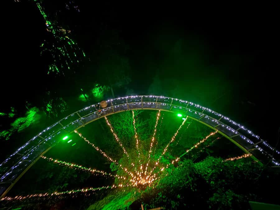 Capilano Suspension Bridge/Private/Small Group/By LUX CAR - Stanley Park drive: the intro that makes Capilano feel worth it