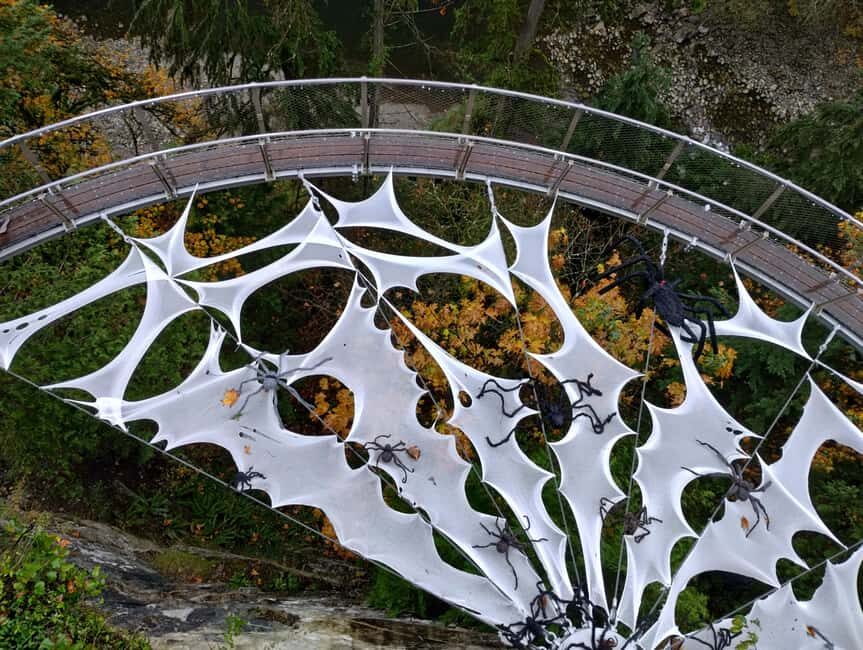 Capilano Suspension Br+Lake+Dam+Hachery/4in1/CAR/Small GROUP - A calmer way to do the North Shore: luxury car + small group