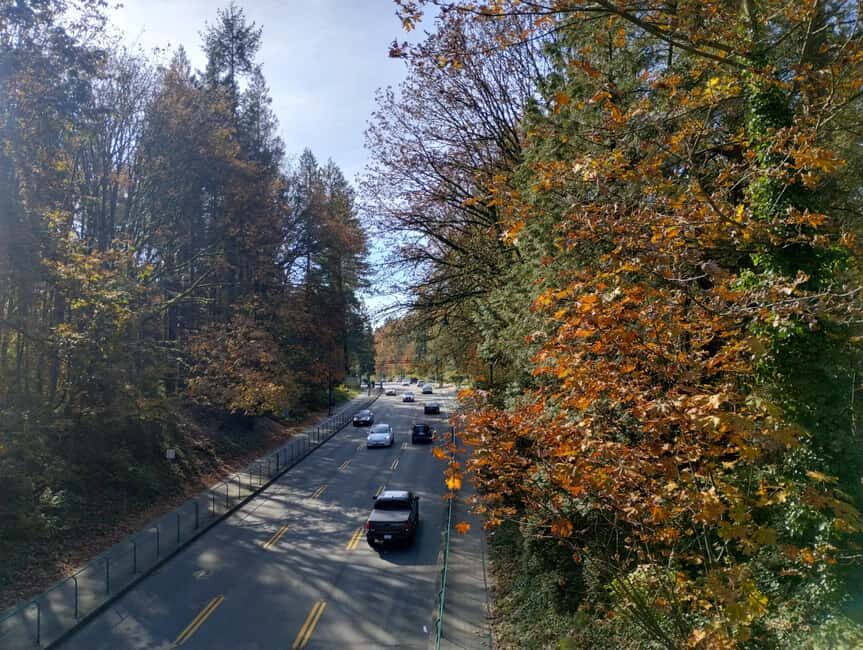 Capilano Suspension Br+Lake+Dam+Hachery/4in1/CAR/Small GROUP - Cleveland Dam: engineering views and the rush of the river