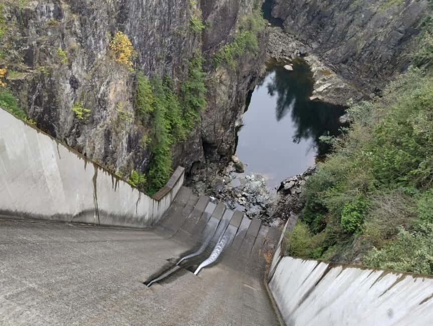 Capilano Suspension Br+Lake+Dam+Hachery/4in1/CAR/Small GROUP - Stanley Park drive-by: quick context before the main event