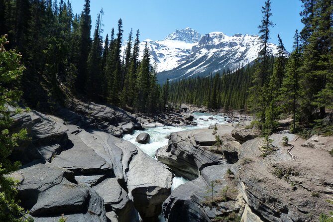 Coho - Explore Banff and Jasper National Parks (4-Days) - Packing Rules and Bus Reality Check (Read This Part)