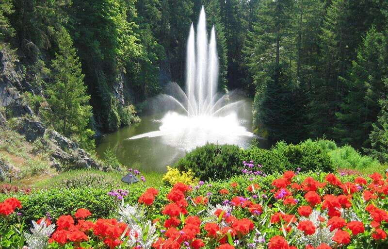 Day Trip from Vancouver to Victoria and Butchart Gardens - Swartz Bay and the move into Victoria’s highlights