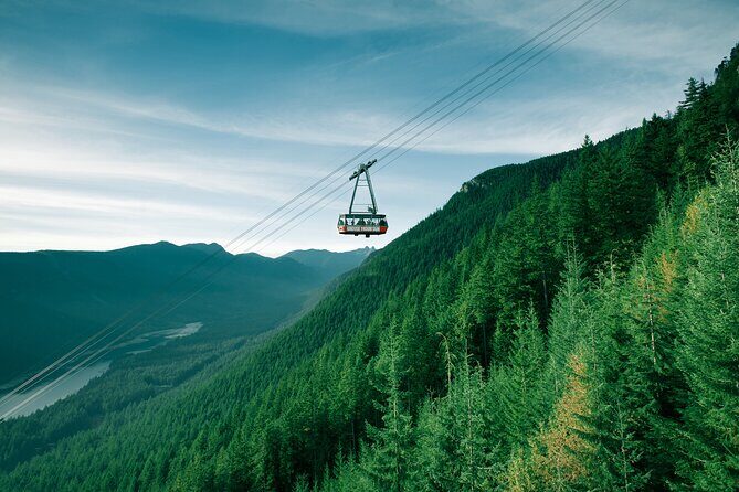 EcoEscape: Luxury & Exclusive Tour Experiences - Private guide impact: why this tour feels calmer than group tours