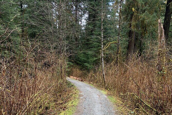 Experience the Beauty of Vancouver’s Forests by Bike/E-Bike - Group Size and Pacing: A More Relaxed Forest Day