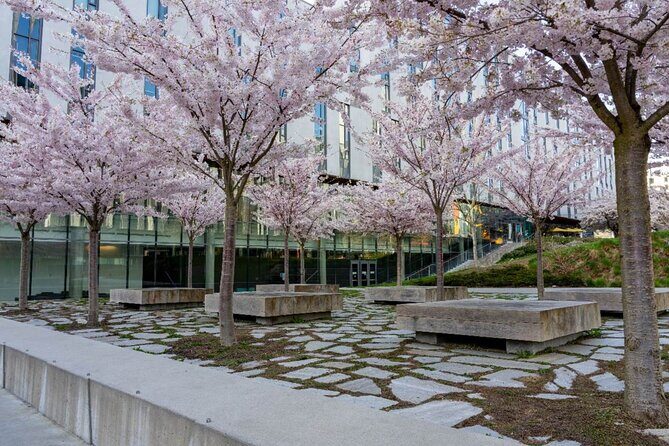Explore Vancouver: Beaches & Downtown Audio Tour Bundle - Kitsilano Beach Park and the pool you’ll want to see