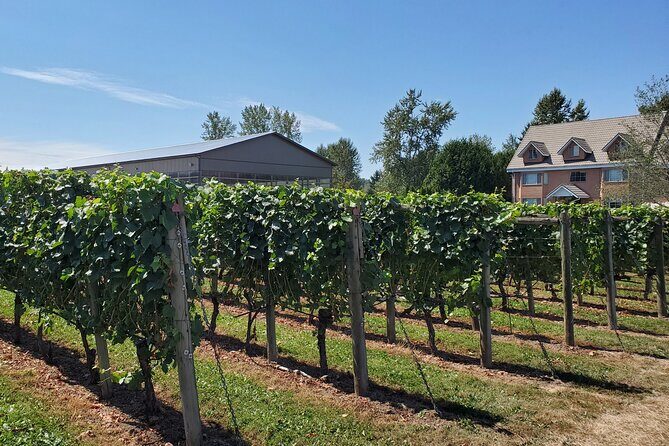 Fraser Valley Wine Tour from Vancouver with a Light Lunch - The van ride timing: when the drive feels short (and when it won’t)