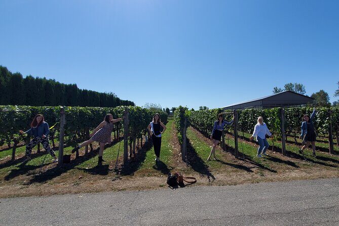 Fraser Valley Wine Tour from Vancouver with a Light Lunch - Who this tour is best for (and who might want a different format)