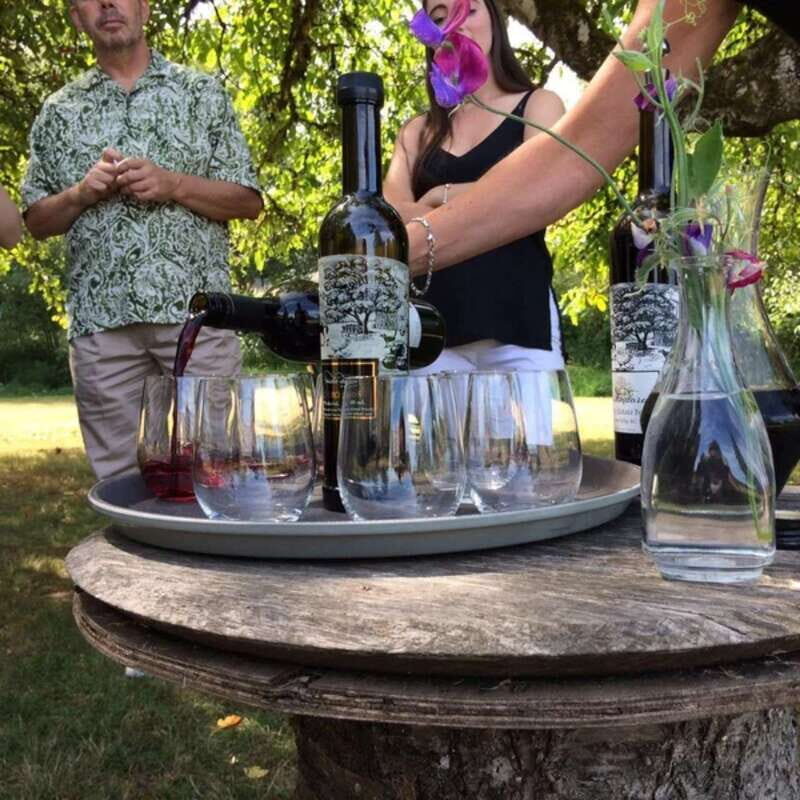 From Vancouver: Fraser Valley Wine Tour with Local Tastings - Should You Book the Fraser Valley Wine Tour From Vancouver?