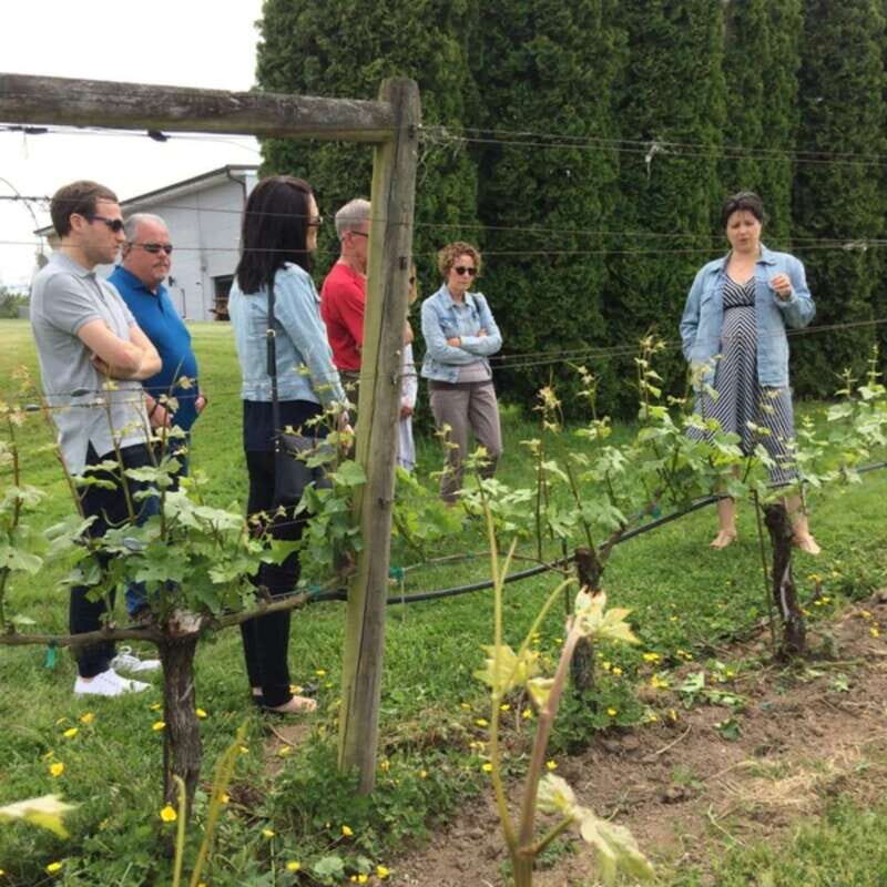 From Vancouver: Fraser Valley Wine Tour with Local Tastings - Cavallo as Your Final Pour: Finishing the Day With Confidence