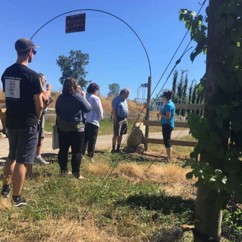 From Vancouver: Fraser Valley Wine Tour with Local Tastings - Small Practical Tips Before You Go