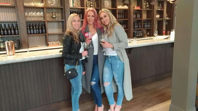 From Vancouver: Half-Day Fraser Valley Wine Tour - Backyard Vineyards: your first tasting, set up for choice