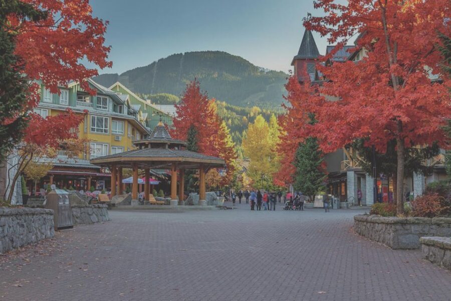 From Vancouver: Whistler and Shannon Falls Private Day Trip - Sea to Sky Gondola timing: views, breaks, and why it’s worth planning for