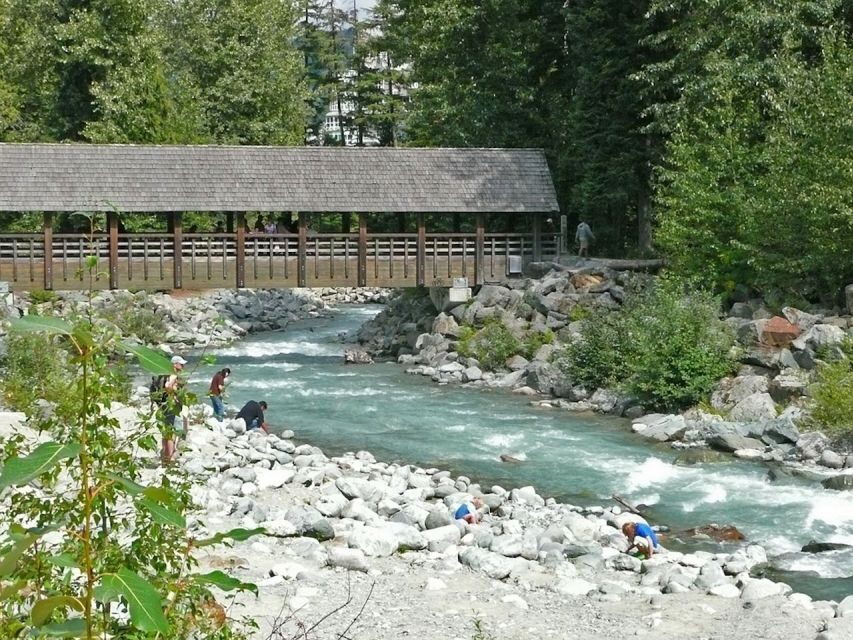 From Vancouver: Whistler and Shannon Falls Private Day Trip - Shannon Falls: the waterfall stop that’s easy to love