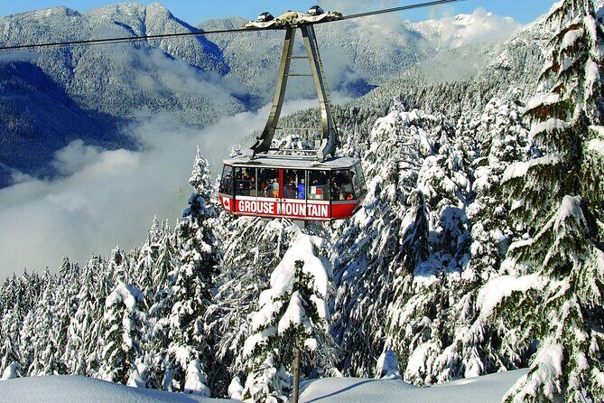 Grouse Mountain Admission Ticket - Grouse Mountain From Vancouver: A Fast Half-Day Escape