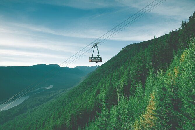 Grouse Mountain Admission Ticket - Wildlife Refuge and Bears: The Programs That Give the Trip Meaning