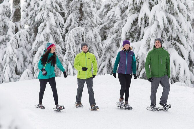 Grouse Mountain Admission Ticket - Lumberjack Show and Birds in Motion: Fun on Purpose