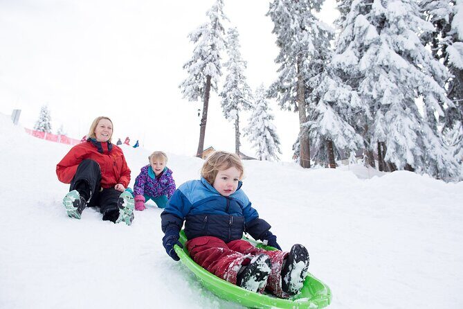 Grouse Mountain Admission Ticket - Peak Chalet Area: Views, Food Timing, and What to Expect Up There