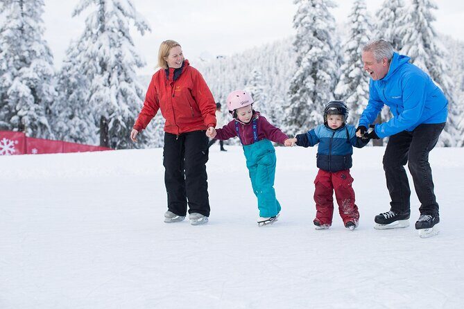 Grouse Mountain Admission Ticket - Theatre in the Sky: Low-Effort, High-Context Time