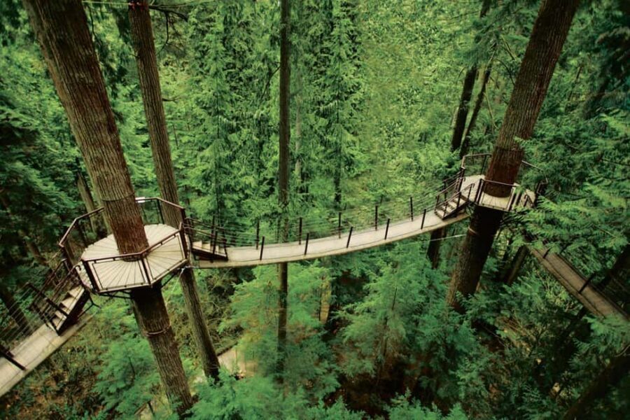 Grouse Mountain, Capilano Bridge & Fish Hatchery Tour - Who this tour suits best
