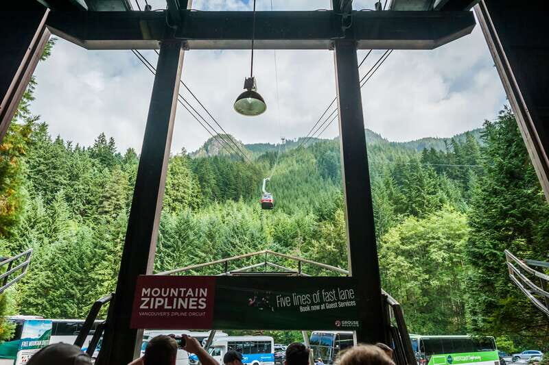 Grouse Mountain, Capilano Bridge & Fish Hatchery Tour - A North Shore hit in about 6.5 hours