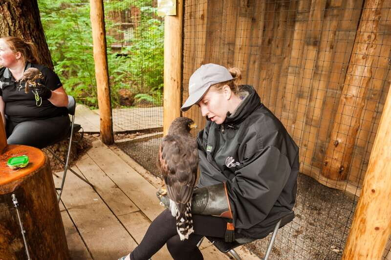 Grouse Mountain, Capilano Bridge & Fish Hatchery Tour - Pacing, weather, and what to wear