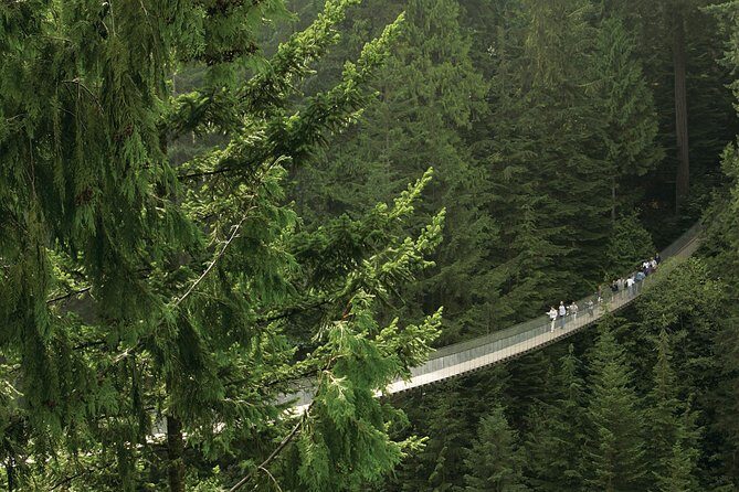 Grouse Mountain & Capilano Bridge Tour with Fish Hatchery - The Day Starts Downtown: Pickup Timing and What It Means